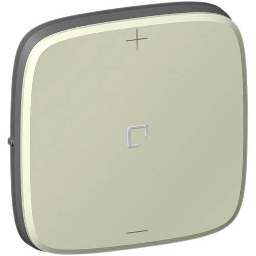 Legrand Abdeckung 752091A