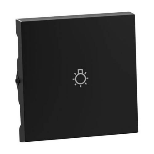 Legrand 765313 SEANO Wippe m.Symbol Licht in der Farbausführung sw lackiert