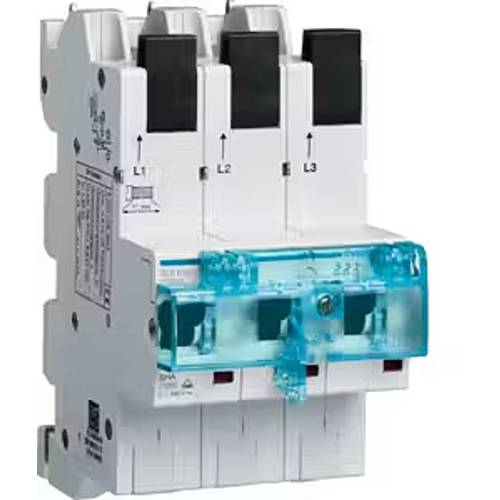 Hager HTS350E Hauptleitungsschutzschalter