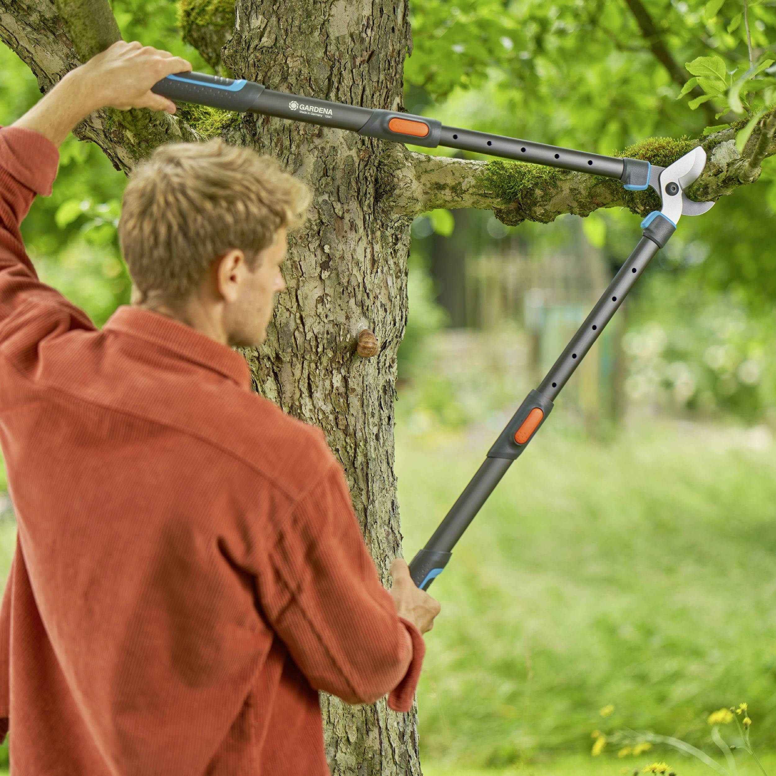 Eine Person schneidet mit einer Baumschere Äste von einem Baum. Trägt eine orange Jacke. Hintergrund grün und bewaldet.