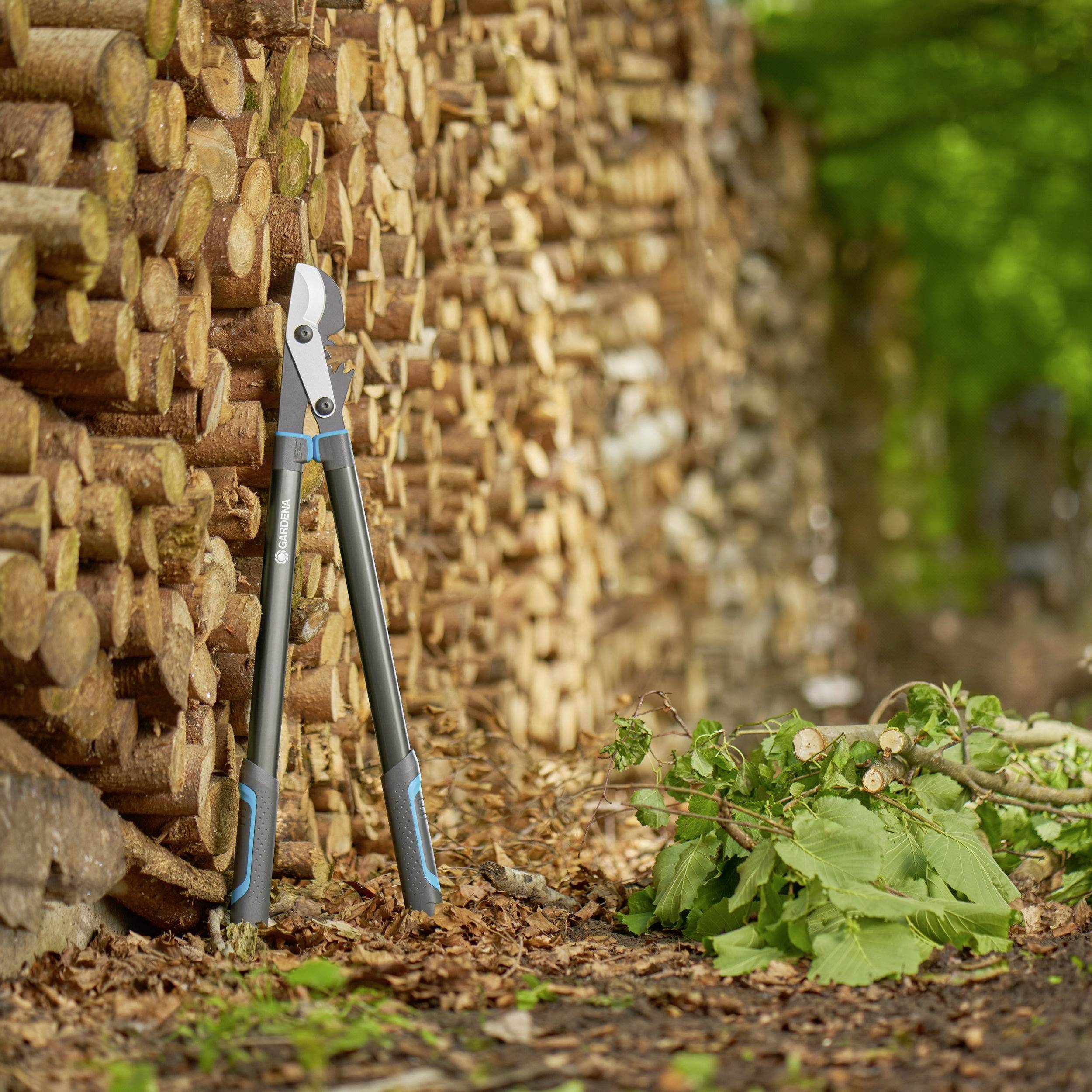 Eine Astschere lehnt an einem Stapel geschnittener Holzscheite. Daneben liegen frisch geschnittene Zweige auf dem Waldboden.