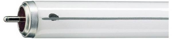 Philips Leuchtstofflampe EEK: G (A - G) Stecksockel (ohne Norm) 40 W Neutralweiß Stabform (Ø x L) 40.5 mm x 1220.5 mm 1 St.