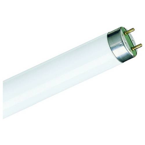 Signify Leuchtstofflampe EEK: G (A - G) G13 36.6 W Warmweiß Stabform (Ø x L) 28 mm x 984.2 mm 1 St.