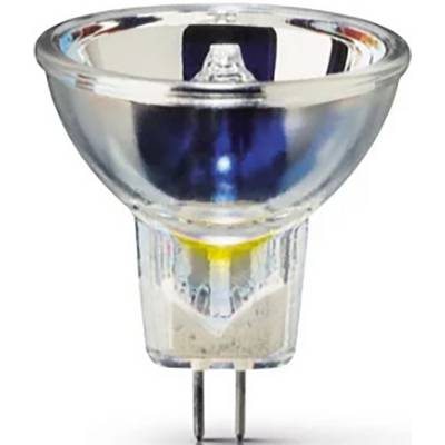 Eine transparente Halogenlampe mit zwei Metallstiften am Sockel, geeignet für gerichtetes Licht in Haushalts- oder Gewerbeleuchten.