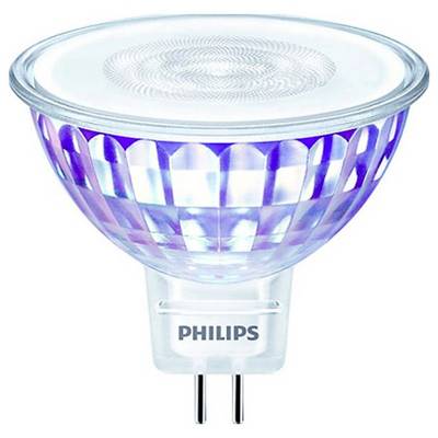 Glühbirne mit Philips-Logo, reflektierendes Glasdesign, LED-Technologie, geeignet für fokussiertes Licht in modernen Leuchten.