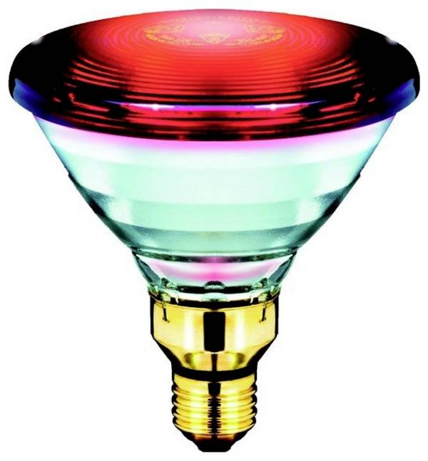 Philips Infrarotlampe E27 150 W (Ø x L) 121 mm x 136 mm 130 V  1 St.