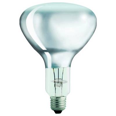 Glühlampe mit silbernem Kopf, klarer Glaskolben und Standard-Fassung. Elektrisches Beleuchtungselement.