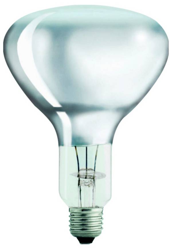 Philips Infrarotlampe E27 375 W (Ø x L) 125 mm x 183 mm 250 V EEK: G (A - G) 1 St.