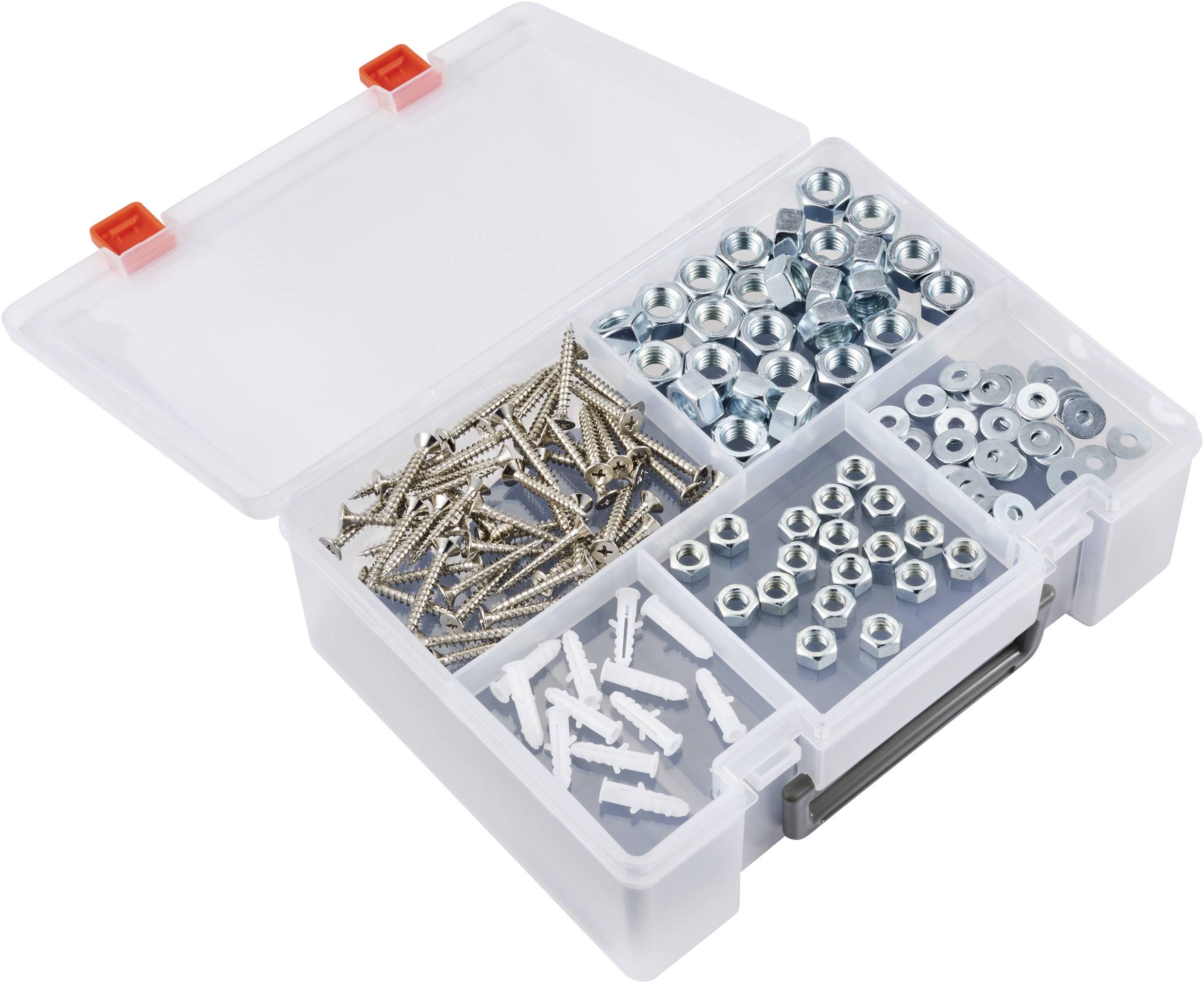 Plastikbox mit mehreren Fächern, gefüllt mit Schrauben, Muttern und Dübeln, organisiert für einfache Verwendung und Lagerung.