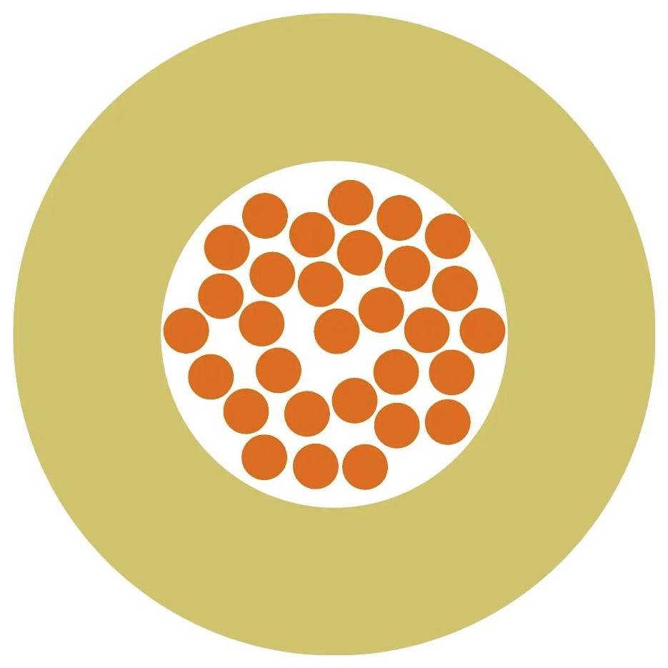 Kreisförmiges Diagramm: Großer beiger Kreis mit einem kleineren weißen Innenkreis, der mit zahlreichen orangenen Punkten gefüllt ist.