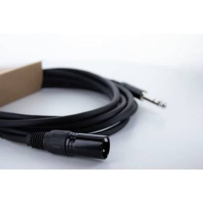 Schwarzes Audio-Verbindungskabel mit einem XLR-Stecker und einem 6,3-mm-Stecker auf weißem Hintergrund.