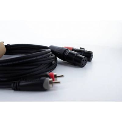 Schwarzes Audiokabel mit XLR-Stecker und Cinch-Anschlüssen auf weißem Hintergrund, für professionelle Audioverbindungen.