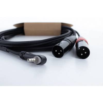Schwarzes Audiokabel mit zwei XLR-Steckern und einem 3,5mm-Klinkenstecker, genutzt zur Verbindung von Audiogeräten.