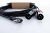 Cordial EY 3 WRMM XLR Y-Adapter [1x Klinkenstecker 3.5 mm - 2x XLR-Stecker 3 polig] 3 m Schwarz