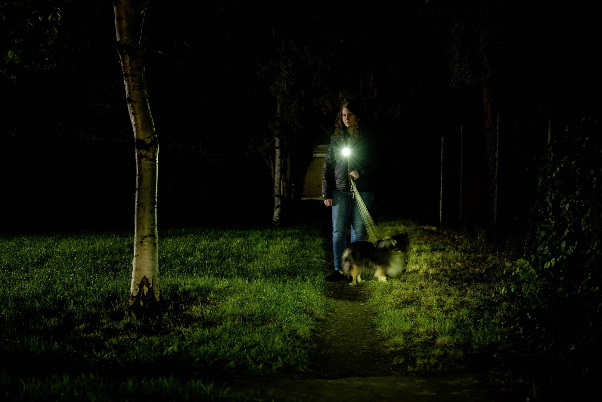 Eine Person geht nachts mit einem Hund spazieren, beleuchtet von einer Taschenlampe. Der Hund ist an der Leine. Dunkle Umgebung mit Gras.