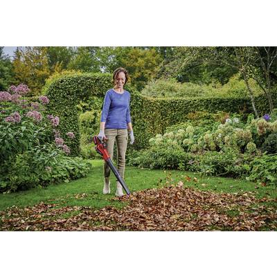 Eine Frau in Gartenkleidung benutzt einen Laubbläser, um einen Haufen Herbstlaub in einem üppigen Gartenbereich zu sammeln.