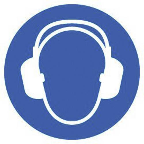 Gebotsschild Gehörschutz benutzen 1 St.