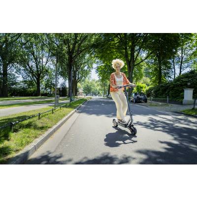 Eine Person fährt bei sonnigem Wetter einen Elektroroller auf einer von Bäumen gesäumten Straße.