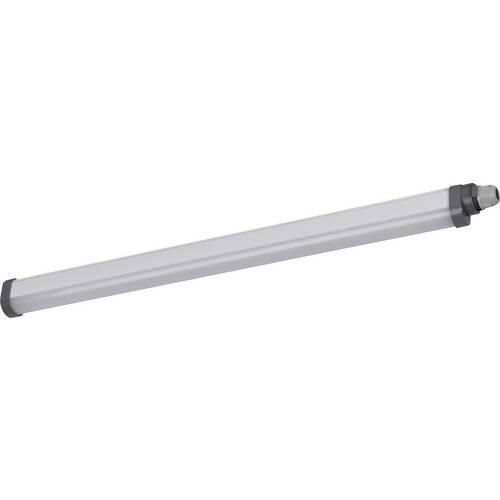 Thumbnail - LEDVANCE Damp proof Essential Extrusion LED-Feuchtraumleuchte LED 18 W Kaltweiß Weiß, Grau