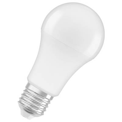 Eine einzelne weiße LED-Glühbirne mit E27-Schraubfassung, beleuchtet nicht.