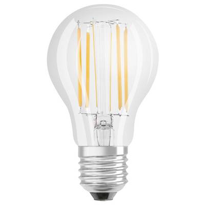 Eine klare Glühbirne mit sichtbarem Filament und Schraubsockel, die moderne und traditionelle Elemente kombiniert.