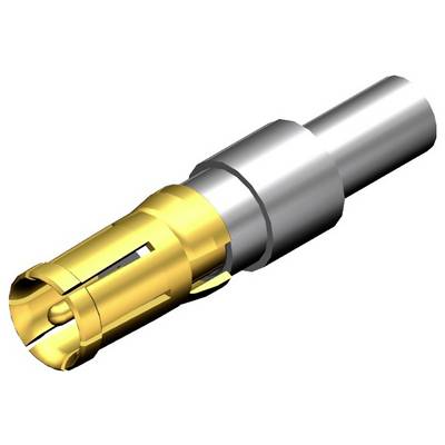 Ein Metallschaft mit einer goldfarbenen Spitze und silbernem Körper, wahrscheinlich ein elektrischer Steckkontakt für Verbindungen.