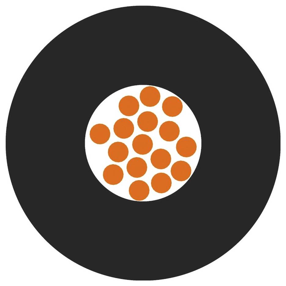 'Diagram eines Atommodells mit schwarzem Außenkreis und orangefarbenem Atomkern in der Mitte.'