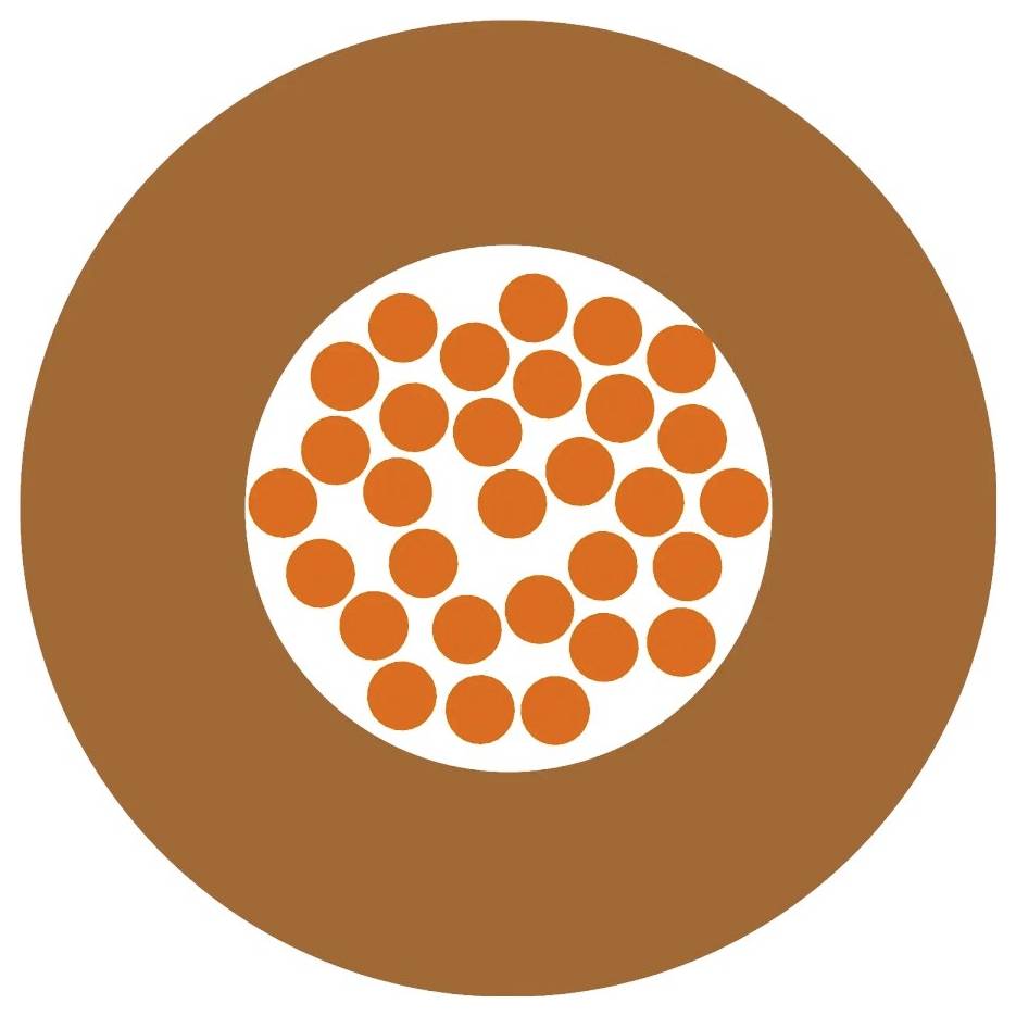 Ein großer brauner Kreis umschließt einen weißen Kreis, der mit mehreren kleinen orangefarbenen Punkten gefüllt ist.