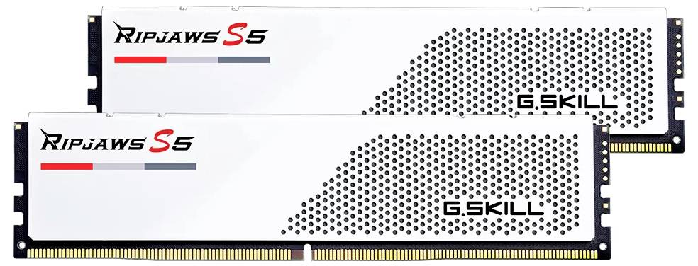 'Zwei weiße G.SKILL Ripjaws S5 RAM-Module mit schwarzem Punktmuster und Markenlogos auf jedem Modul.'