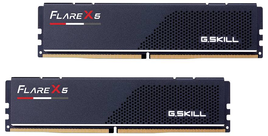Zwei schwarze RAM-Module der Marke G.SKILL 'Flare X5'. Sie haben ein punktiertes Design und rote Akzente.