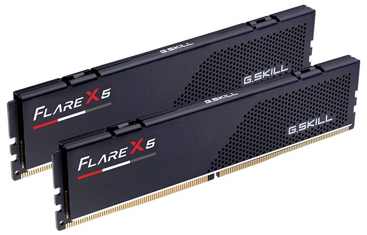 Zwei schwarze RAM-Module von G.Skill mit der Aufschrift 'Flare X5'. Sie haben eine schlichte, moderne Gestaltung.