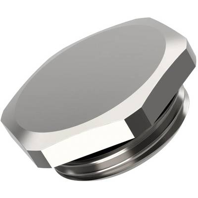 Eine sechseckige Metallschraube mit flachem Kopf, außen silbern glänzend, für industrielle oder technische Anwendungen.