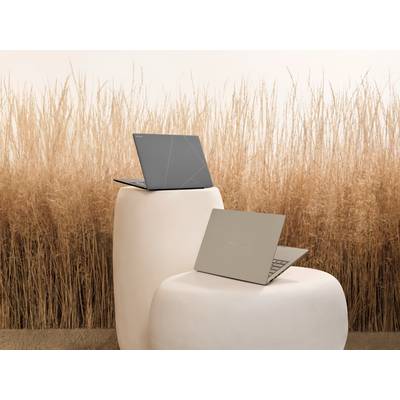 Zwei aufgeklappte Laptops stehen auf cremefarbenen, runden Podesten vor einem Hintergrund aus hohen, trockenen Gräsern.