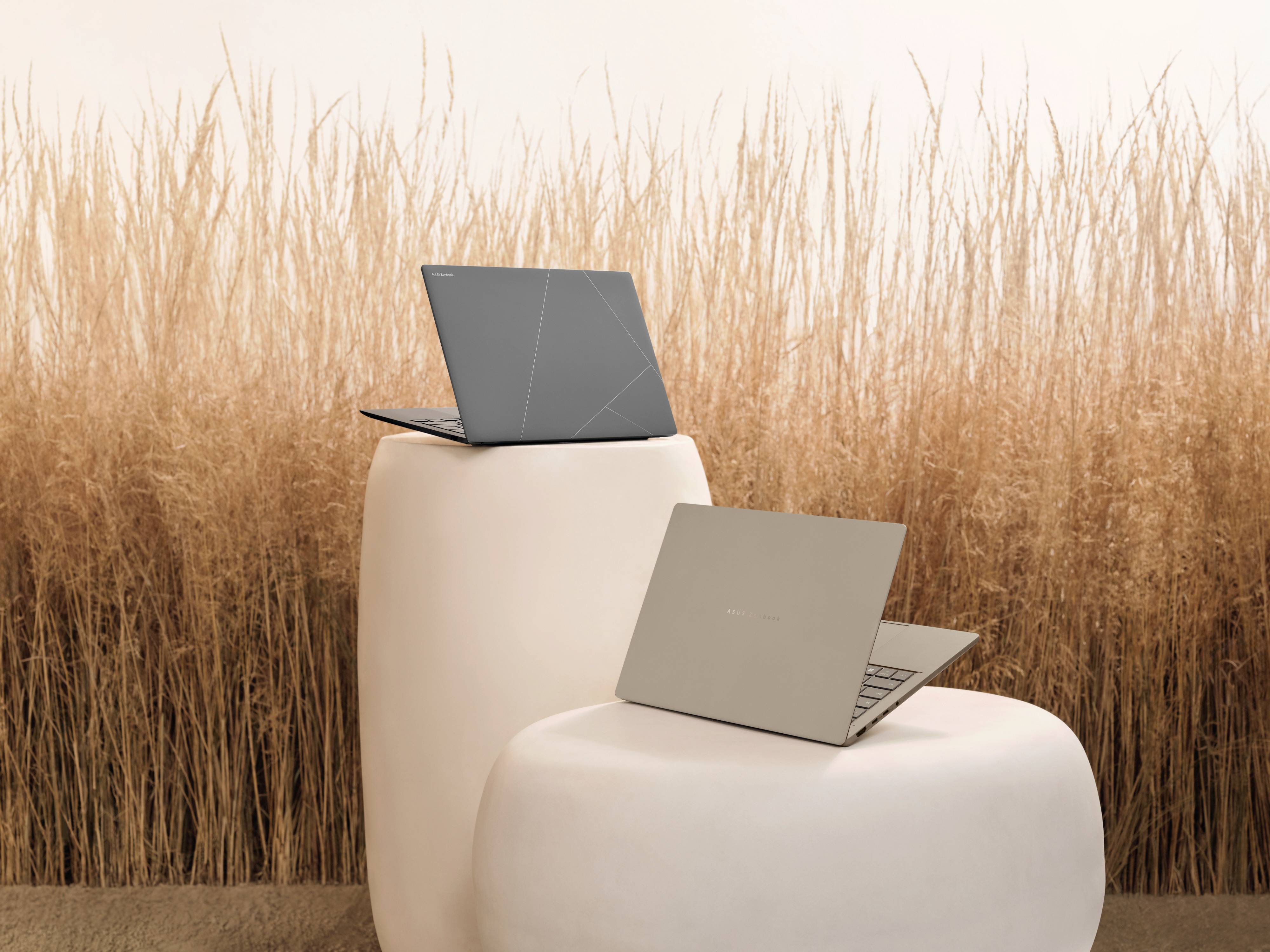 Zwei Laptops auf schlichten, beigen Podesten vor einem Hintergrund aus trockenem Gras. Der Raum wirkt schlicht und modern.