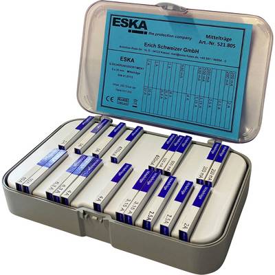 Eine geöffnete Box mit zahlreichen weißen und blauen Mittelsicherungen der Marke ESKA, mit aufgedruckten Spezifikationen und Zertifizierungen.
