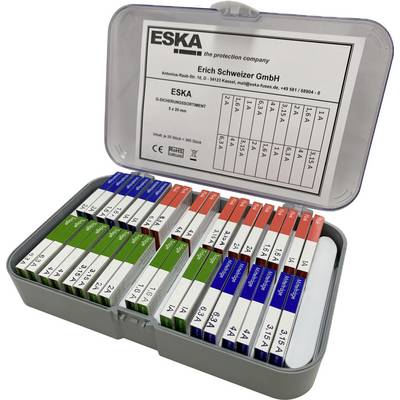 Eine offene Box mit mehreren Sicherungen in verschiedenen Farben (grün, blau, rot) von 'ESKA', einer deutschen Firma für Schutztechnik.