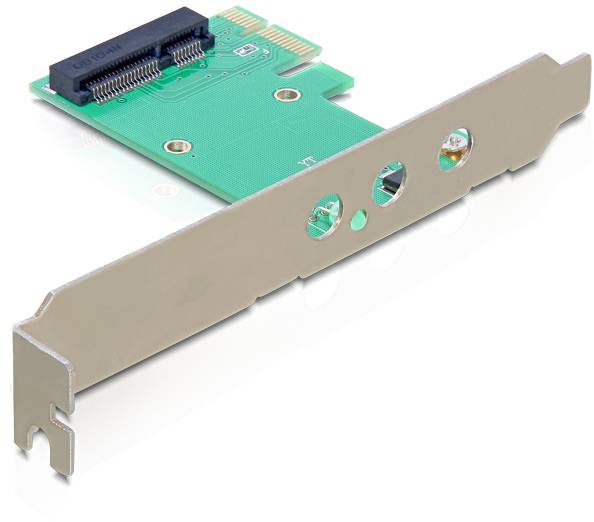 Delock 89294 PCI-Express Karte Mini PCIe PCIe-2