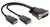 Ein DVI-zu-Dual-DisplayPort-Adapter mit zwei DisplayPort-Steckern und einem DVI-Stecker, verwendet zur Videoübertragung.