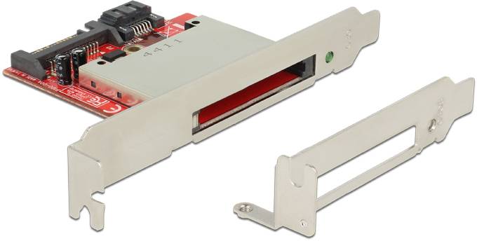 DeLOCK - Kartenleser (CF I, CF II) - Serial ATA-1