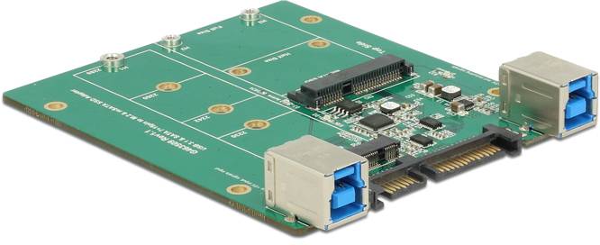 Delock 62732 Schnittstellen-Konverter [1x SATA, USB-B Buchse - 1x M2, mSATA]