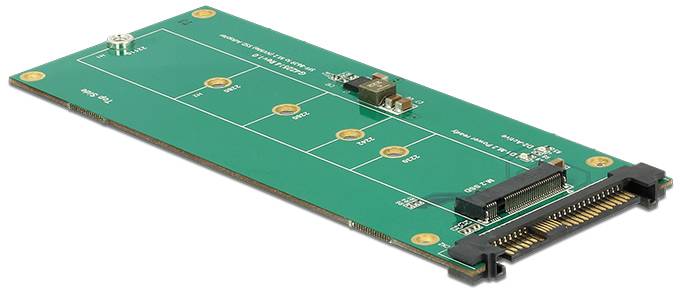 Delock 62865 Schnittstellen-Konverter [1x U.2 - 1x M2]