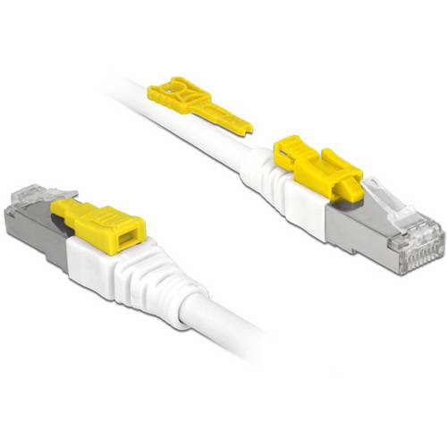 Delock 85332 RJ45 Netzwerkkabel, Patchkabel CAT 6a S/FTP 2.00 m Weiß 1 St.