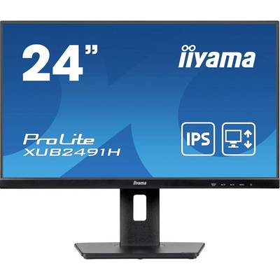 24-Zoll-Monitor von iiyama mit IPS-Technologie und Modellnummer XUB2491H, dargestellt auf blauem Hintergrund.