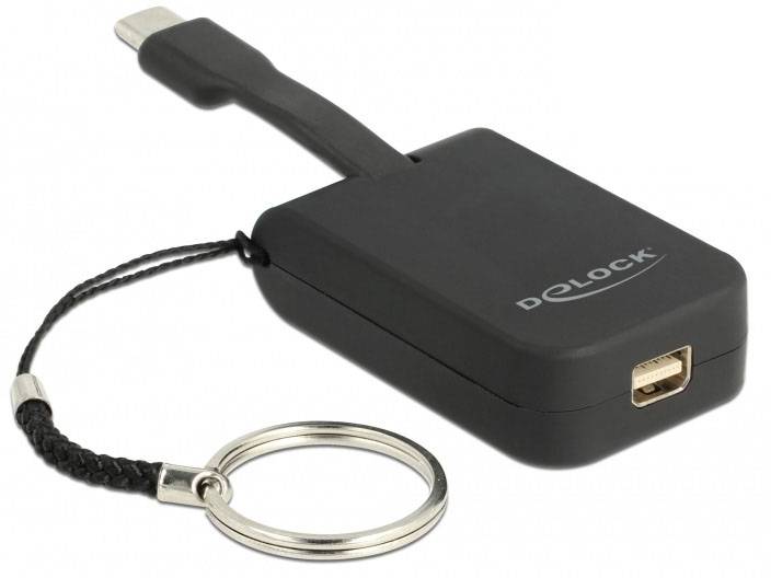 Ein schwarzer Adapter von Delock mit USB-Anschluss und Schlüsselanhänger.