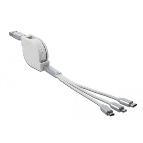 Delock USB-Kabel USB 2.0 USB-A Stecker, USB-C® Stecker, USB-Micro-B Stecker, Apple Lightning Stecker 0.98 m Grau 85850