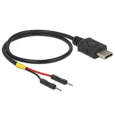 USB-C-Adapterkabel mit zwei Stiftanschlüssen am anderen Ende, zur Verbindung von Geräten mit unterschiedlichen Anschlussstandards.