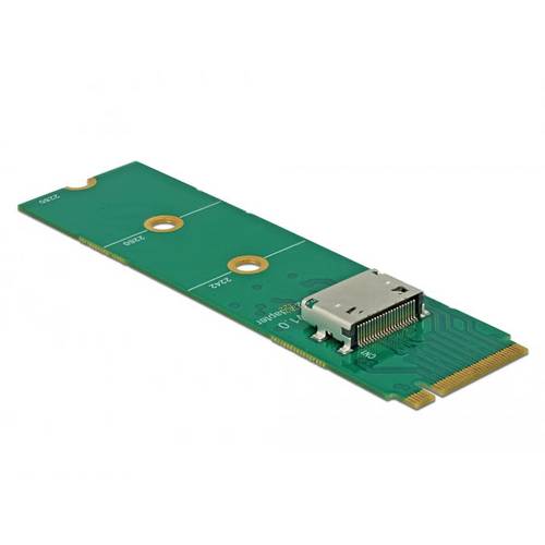 Delock 64040 Schnittstellen-Konverter M.2 PCIe