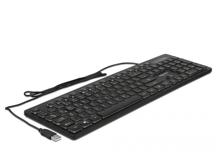 Delock 12625 Kabelgebunden Tastatur Deutsch, QWERTZ Schwarz Beleuchtet-2