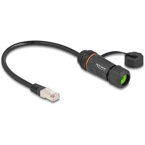 Delock 88147 RJ45 Netzwerkkabel, Patchkabel CAT 6a S/UTP 0.25 m Schwarz 1 St.