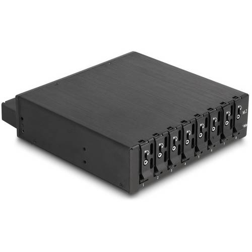 Delock 47129 Festplatten-Wechselrahmen M.2, SAS